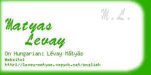 matyas levay business card